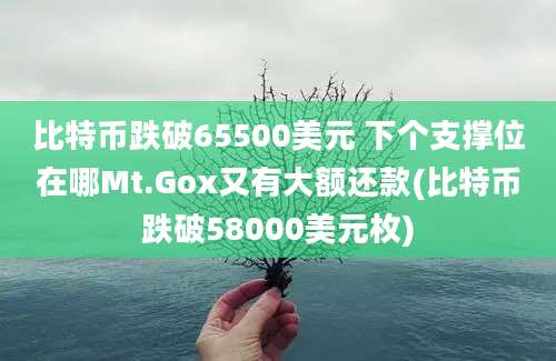 比特币跌破65500美元 下个支撑位在哪Mt.Gox又有大额还款(比特币跌破58000美元枚)