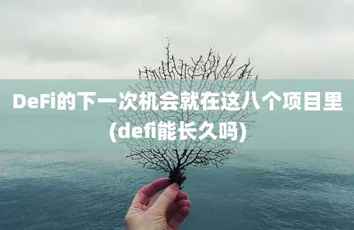 DeFi的下一次机会就在这八个项目里(defi能长久吗)