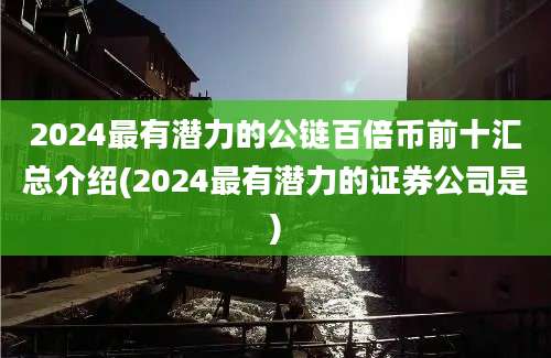 2024最有潜力的公链百倍币前十汇总介绍(2024最有潜力的证券公司是)