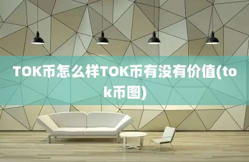 TOK币怎么样TOK币有没有价值(tok币图)