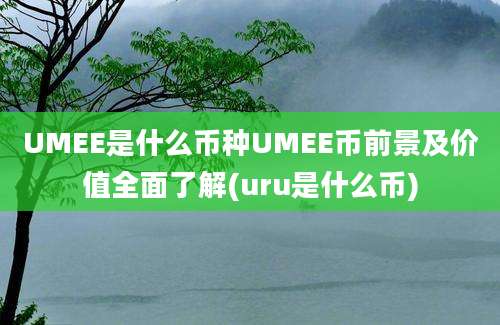 UMEE是什么币种UMEE币前景及价值全面了解(uru是什么币)