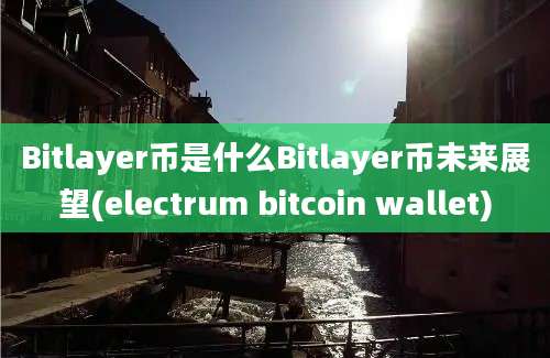 Bitlayer币是什么Bitlayer币未来展望(electrum bitcoin wallet)