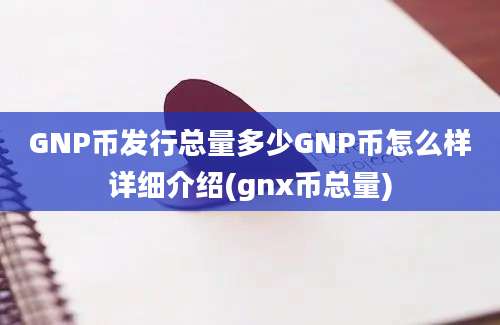 GNP币发行总量多少GNP币怎么样详细介绍(gnx币总量)