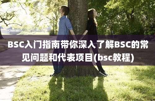 BSC入门指南带你深入了解BSC的常见问题和代表项目(bsc教程)