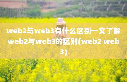 web2与web3有什么区别一文了解web2与web3的区别(web2 web3)