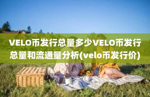 VELO币发行总量多少VELO币发行总量和流通量分析(velo币发行价)