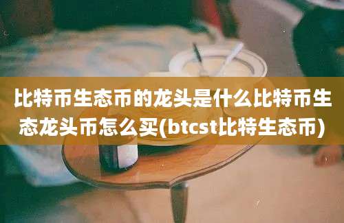 比特币生态币的龙头是什么比特币生态龙头币怎么买(btcst比特生态币)