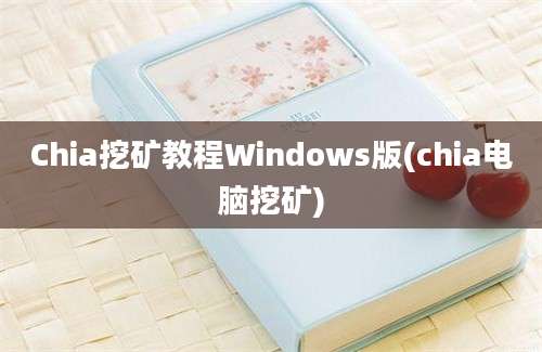 Chia挖矿教程Windows版(chia电脑挖矿)