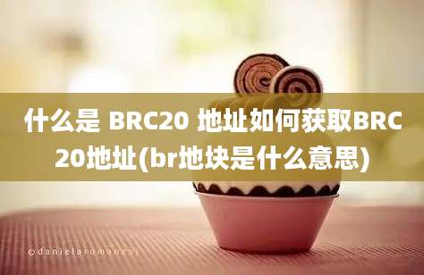 什么是 BRC20 地址如何获取BRC20地址(br地块是什么意思)