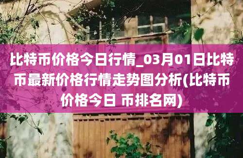 比特币价格今日行情_03月01日比特币最新价格行情走势图分析(比特币价格今日 币排名网)