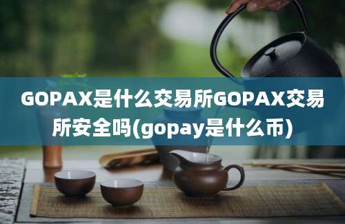 GOPAX是什么交易所GOPAX交易所安全吗(gopay是什么币)