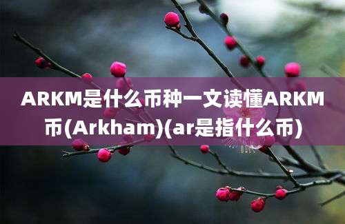 ARKM是什么币种一文读懂ARKM币(Arkham)(ar是指什么币)