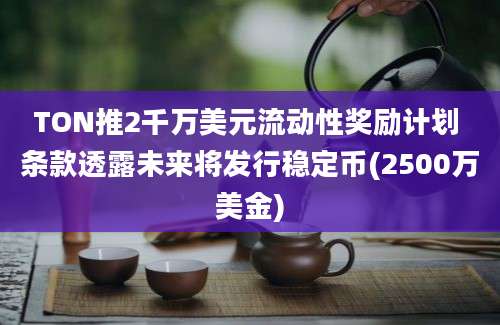 TON推2千万美元流动性奖励计划 条款透露未来将发行稳定币(2500万美金)