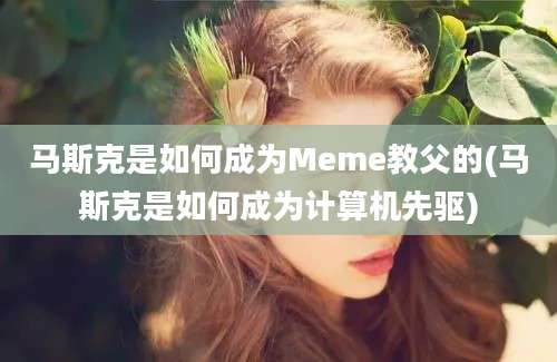 马斯克是如何成为Meme教父的(马斯克是如何成为计算机先驱)