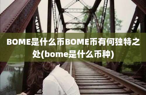 BOME是什么币BOME币有何独特之处(bome是什么币种)