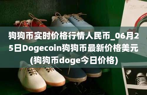 狗狗币实时价格行情人民币_06月25日Dogecoin狗狗币最新价格美元(狗狗币doge今日价格)