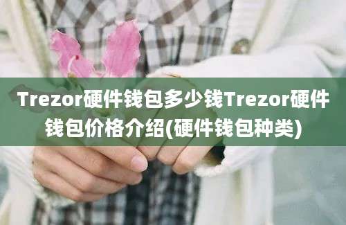 Trezor硬件钱包多少钱Trezor硬件钱包价格介绍(硬件钱包种类)