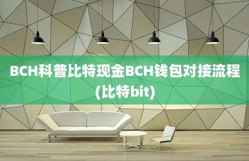 BCH科普比特现金BCH钱包对接流程(比特bit)