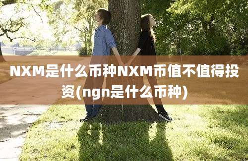 NXM是什么币种NXM币值不值得投资(ngn是什么币种)