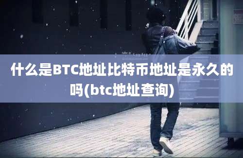 什么是BTC地址比特币地址是永久的吗(btc地址查询)