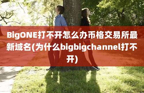 BigONE打不开怎么办币格交易所最新域名(为什么bigbigchannel打不开)