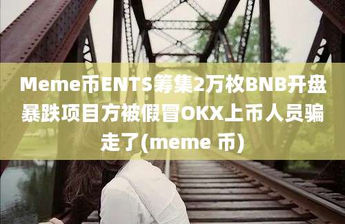 Meme币ENTS筹集2万枚BNB开盘暴跌项目方被假冒OKX上币人员骗走了(meme 币)