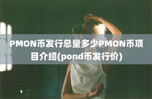 PMON币发行总量多少PMON币项目介绍(pond币发行价)