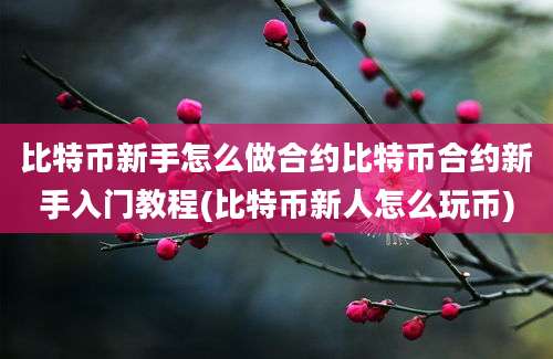 比特币新手怎么做合约比特币合约新手入门教程(比特币新人怎么玩币)