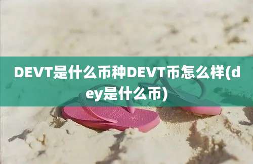 DEVT是什么币种DEVT币怎么样(dey是什么币)