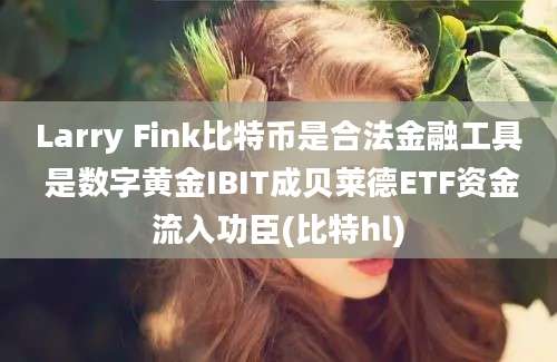 Larry Fink比特币是合法金融工具 是数字黄金IBIT成贝莱德ETF资金流入功臣(比特hl)