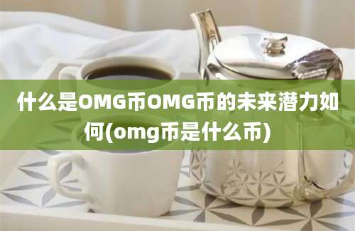 什么是OMG币OMG币的未来潜力如何(omg币是什么币)