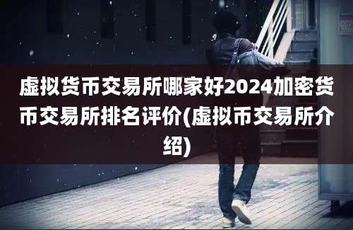 虚拟货币交易所哪家好2024加密货币交易所排名评价(虚拟币交易所介绍)