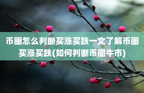 币圈怎么判断买涨买跌一文了解币圈买涨买跌(如何判断币圈牛市)