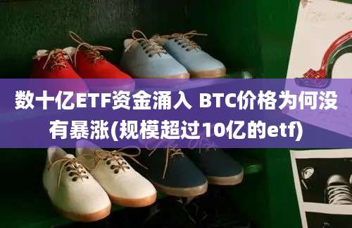 数十亿ETF资金涌入 BTC价格为何没有暴涨(规模超过10亿的etf)