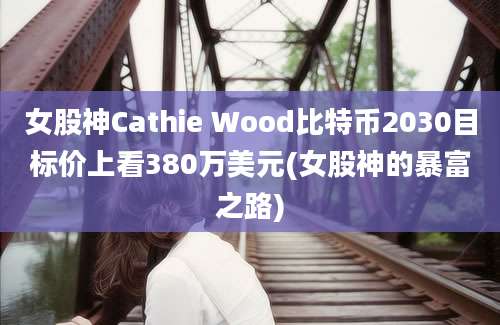 女股神Cathie Wood比特币2030目标价上看380万美元(女股神的暴富之路)