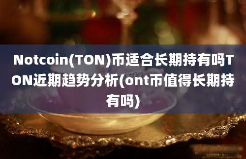 Notcoin(TON)币适合长期持有吗TON近期趋势分析(ont币值得长期持有吗)