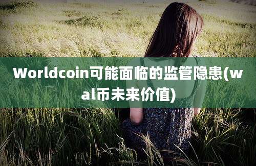 Worldcoin可能面临的监管隐患(wal币未来价值)