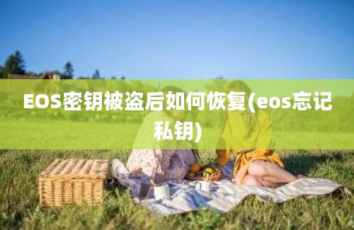 EOS密钥被盗后如何恢复(eos忘记私钥)