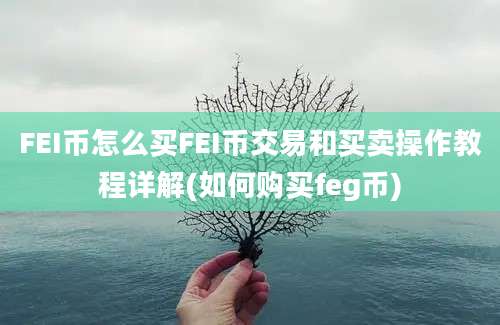 FEI币怎么买FEI币交易和买卖操作教程详解(如何购买feg币)