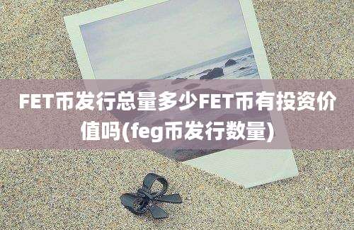 FET币发行总量多少FET币有投资价值吗(feg币发行数量)