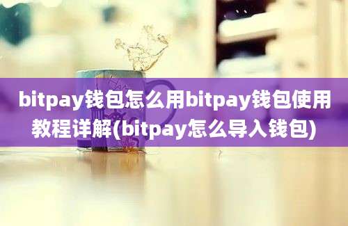 bitpay钱包怎么用bitpay钱包使用教程详解(bitpay怎么导入钱包)