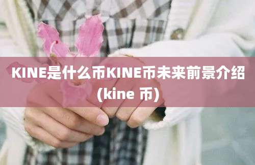 KINE是什么币KINE币未来前景介绍(kine 币)