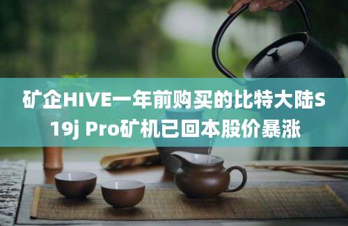 矿企HIVE一年前购买的比特大陆S19j Pro矿机已回本股价暴涨