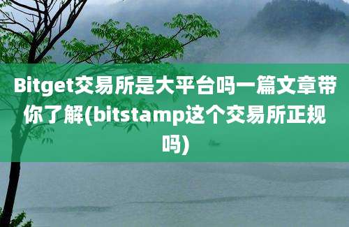 Bitget交易所是大平台吗一篇文章带你了解(bitstamp这个交易所正规吗)