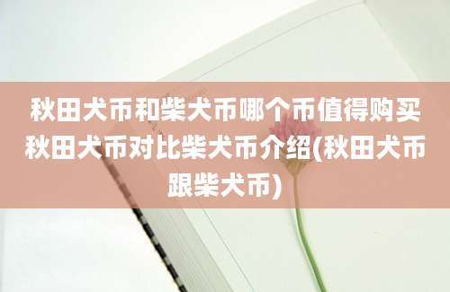 秋田犬币和柴犬币哪个币值得购买秋田犬币对比柴犬币介绍(秋田犬币跟柴犬币)