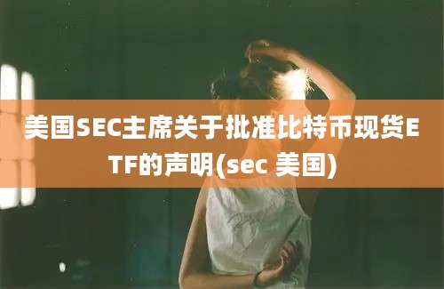 美国SEC主席关于批准比特币现货ETF的声明(sec 美国)