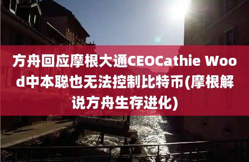 方舟回应摩根大通CEOCathie Wood中本聪也无法控制比特币(摩根解说方舟生存进化)