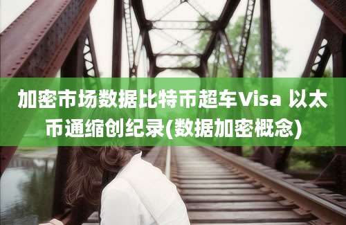 加密市场数据比特币超车Visa 以太币通缩创纪录(数据加密概念)