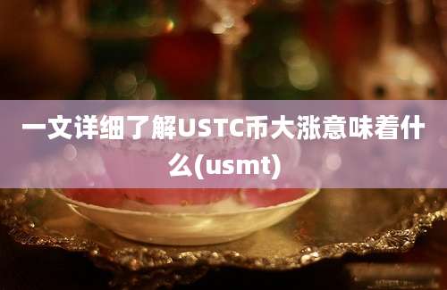 一文详细了解USTC币大涨意味着什么(usmt)