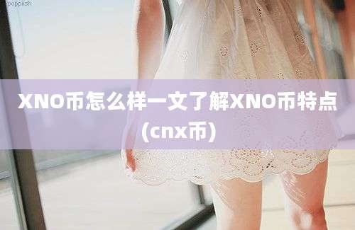 XNO币怎么样一文了解XNO币特点(cnx币)